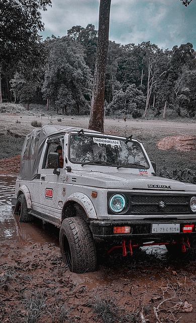 发的地面形 发的地面形