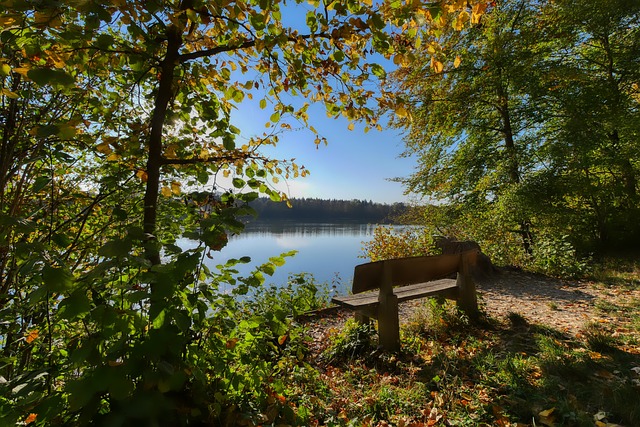 又是什么让 又是什么让