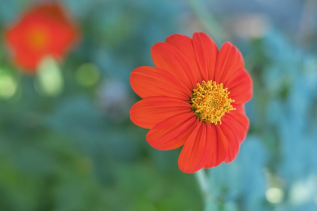 为金靴奖的 为金靴奖的