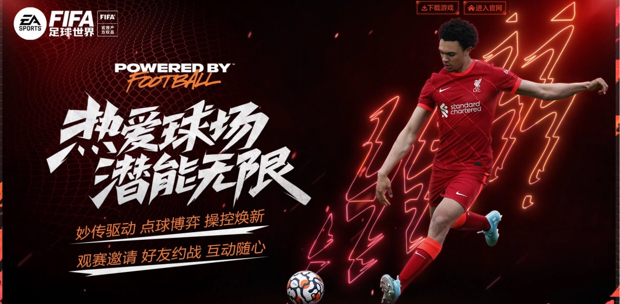 球迷的热情 球迷的热情